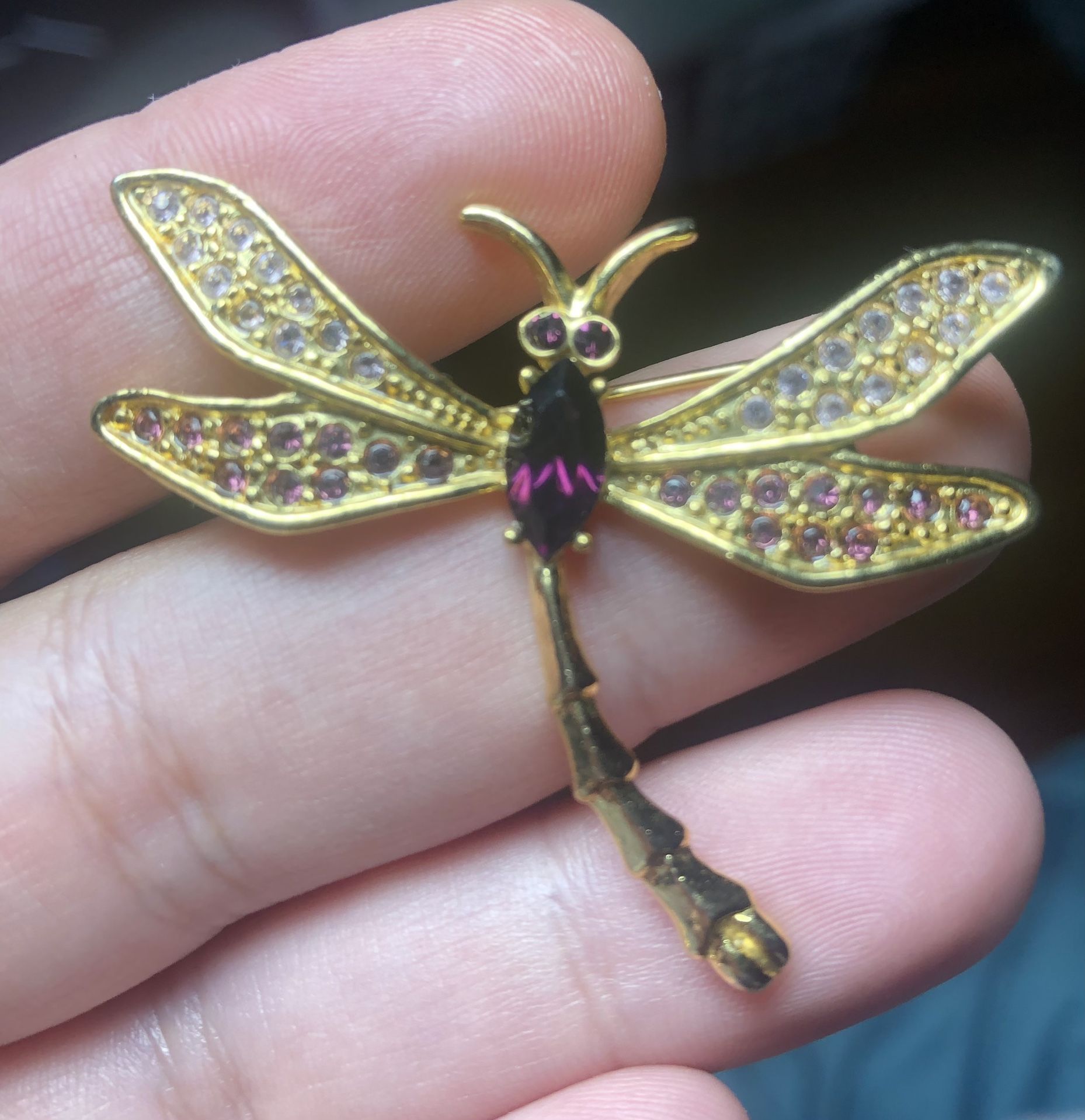Dragonfly Brooch