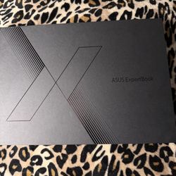 Asus Expertbook