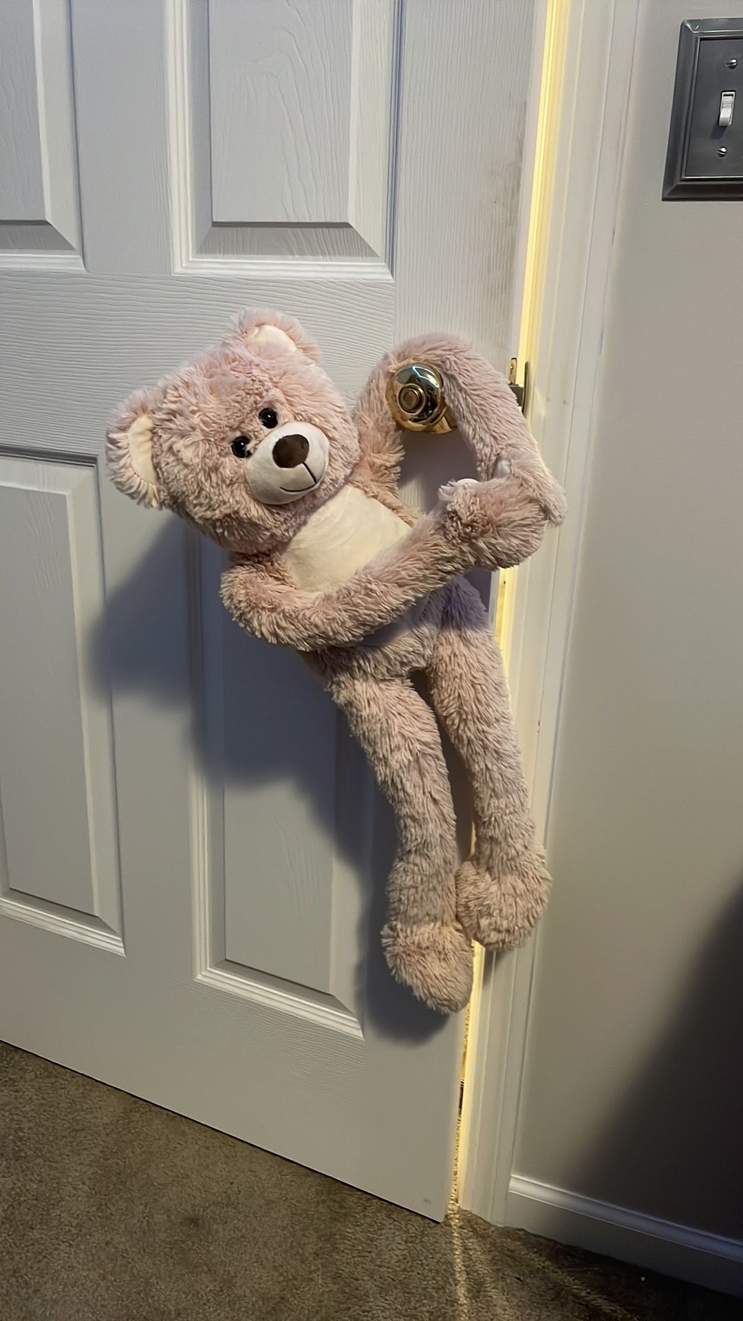 Excellent condition bear stuffed animal