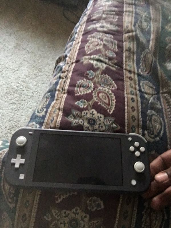 Nintendo Switch Lite 100$