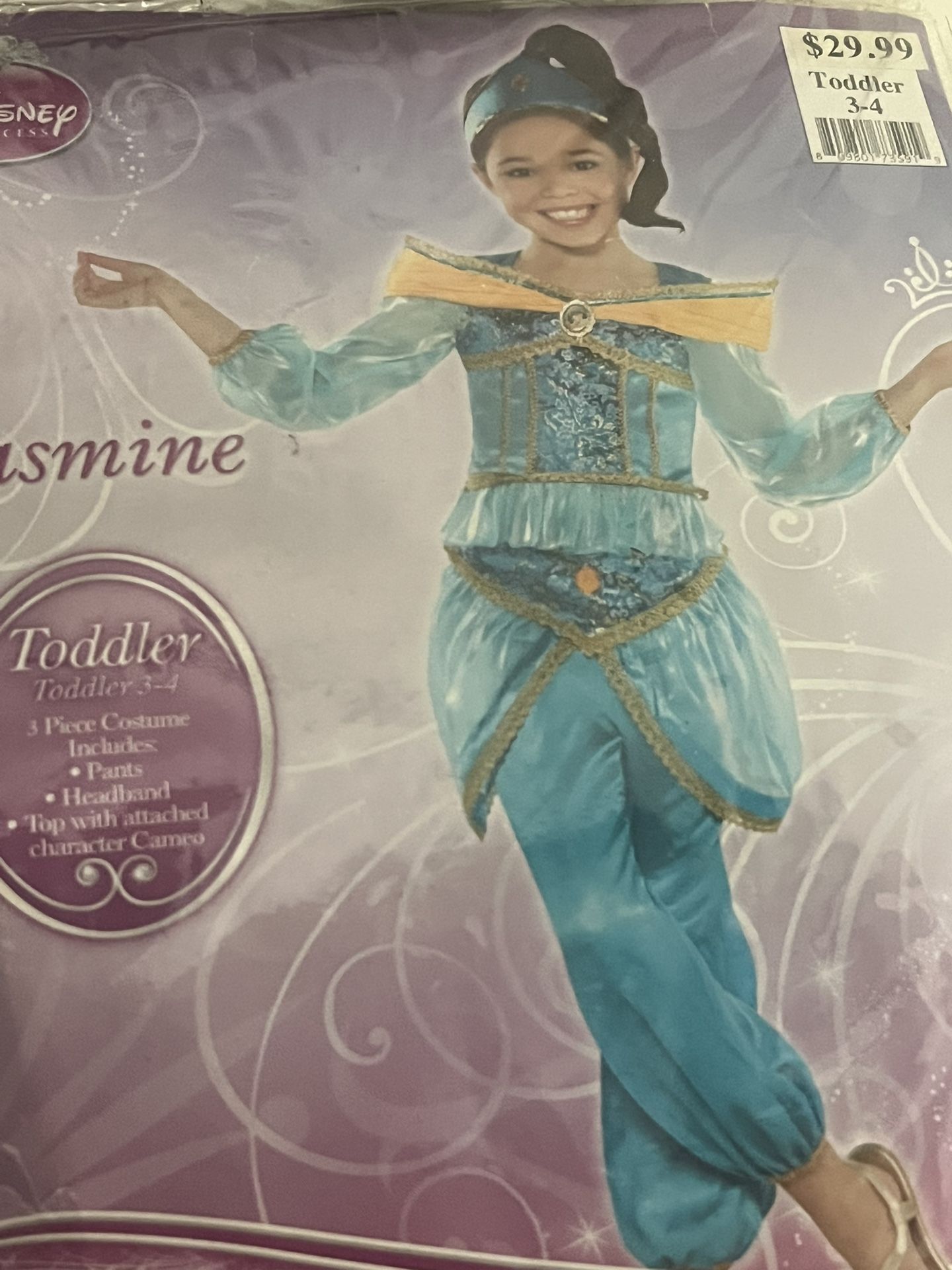 Jasmin Costume