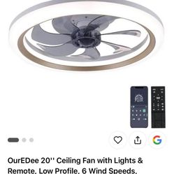 Ceiling Fan With Light 