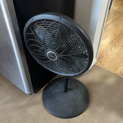Fan