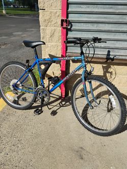 12-speed mountain bike Rallye