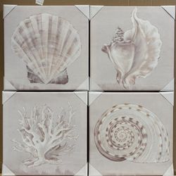 Aesthetic Sea Shell Painting Set
