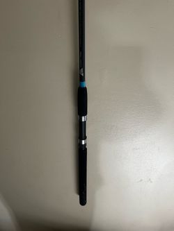 Fishing pole