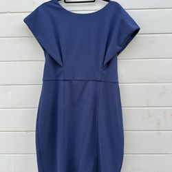 Professional Blue Dress