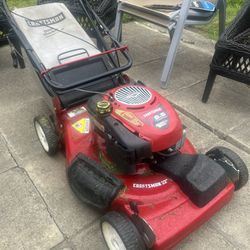 Lawn Mower **Mechanic Special**