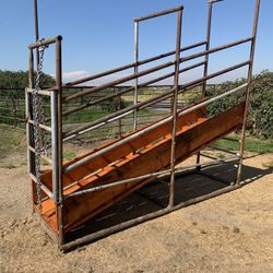 Cattle loading chute 