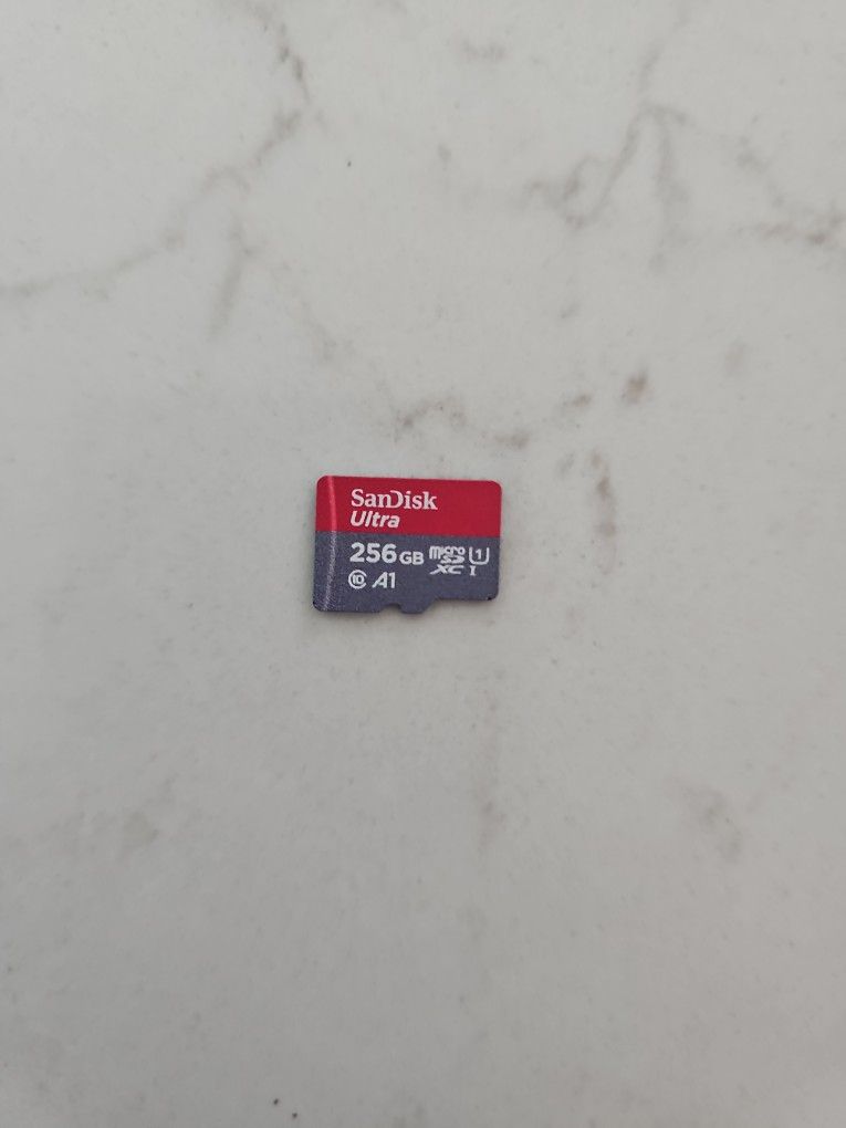 256 GB Sandisk Micro SD Card