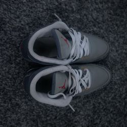 Cool grey Jordan 3s