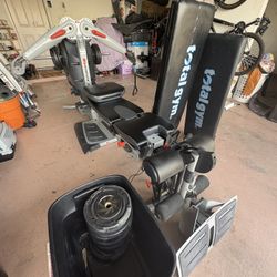 Bowflex Revolution Weight Training