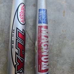 2 Baseball Bat