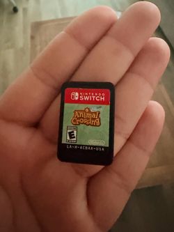 Nintendo switch game