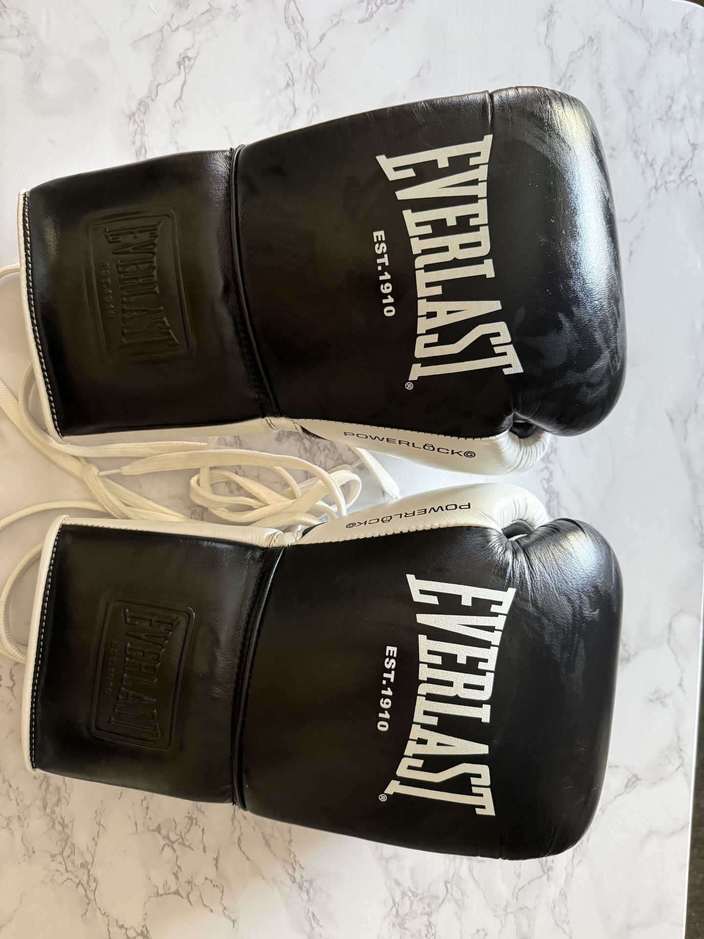 PowerLock OG Everlast 16 oz Sparring Gloves