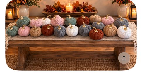 24 pumpkins all new