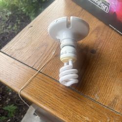 Light Fixture 