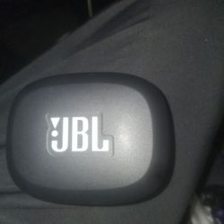 JBL Endurance Peak 4 Charging Case