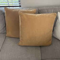 Two Suede Pillows 22” X 22”