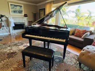 Beautiful Maeari Baby Grand Piano Delivery Options Available!