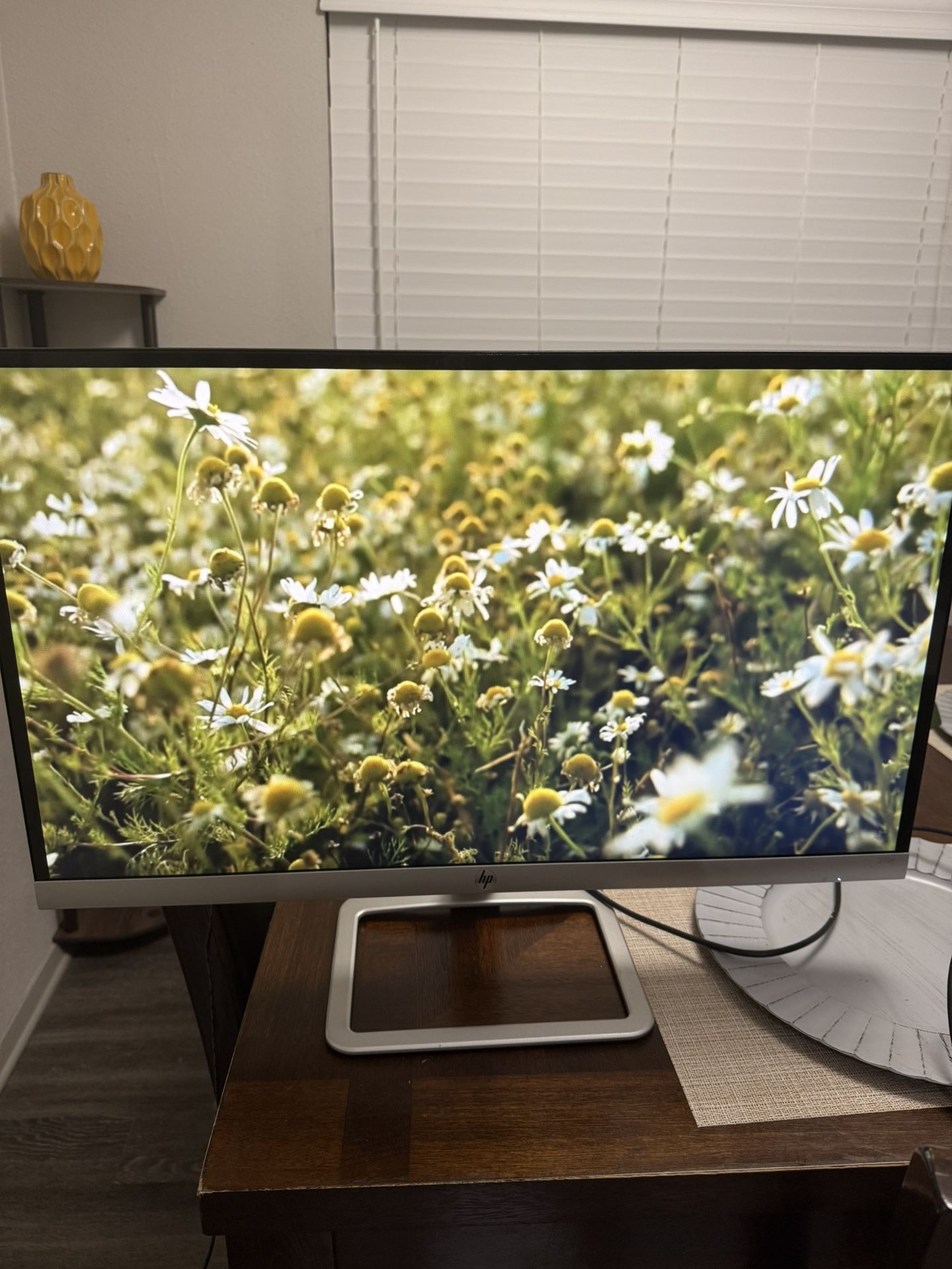 HP 27 Inch Monitor