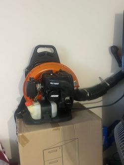 Blower Echo