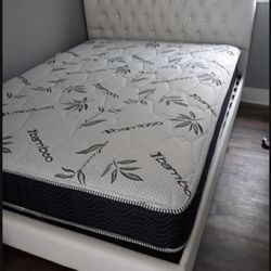 Cama Queen Size Nueva En Caja Incluye Colchon