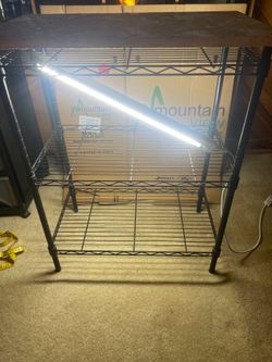 Shelf and lights