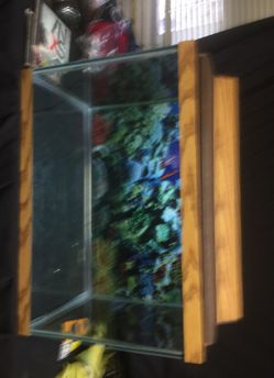 20 gallon high with lid and light