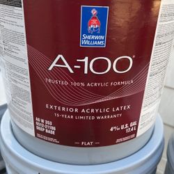 Exterior Paint - Cream Color