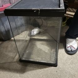 10 Gallon Reptile Aquarium W/screen $10
