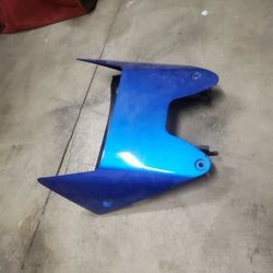 Kawasaki ZX14 2007 Under Cowl