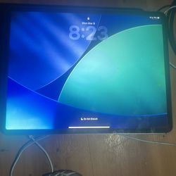 300$ OBO Apple iPad Pro 12.9inch 4th Gen fully unlocked