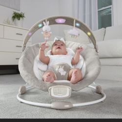 Baby Bouncer 