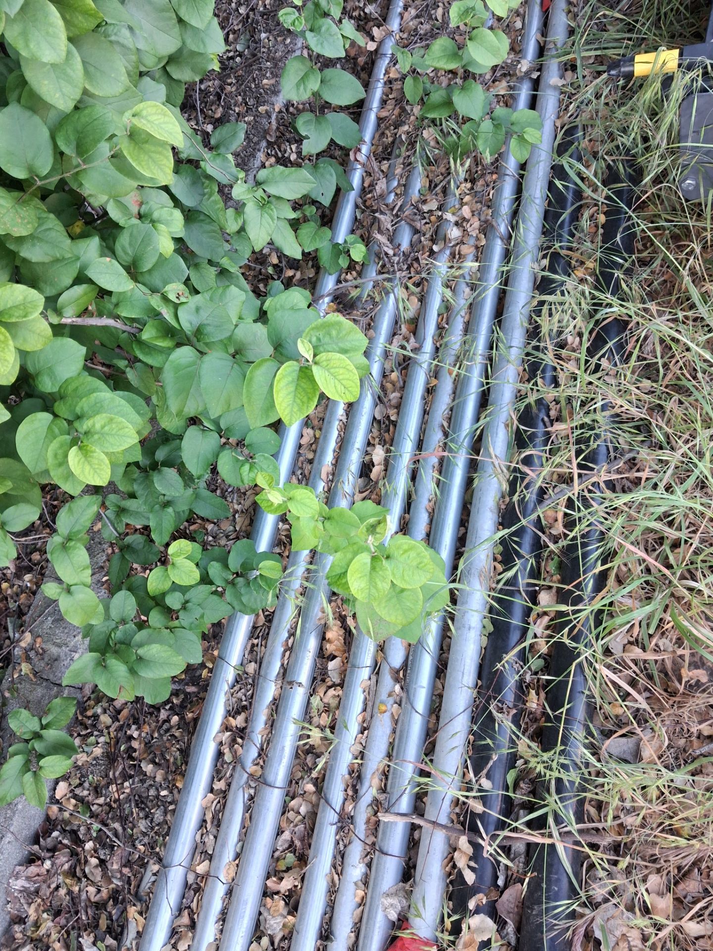 Fence rail 21ft
