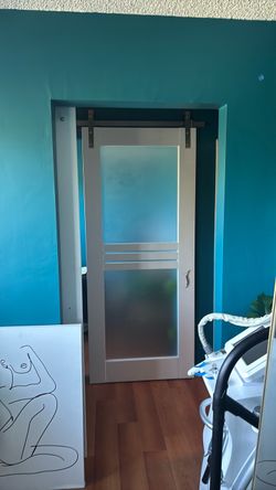 White Barn Door with Frosted Glass Panels