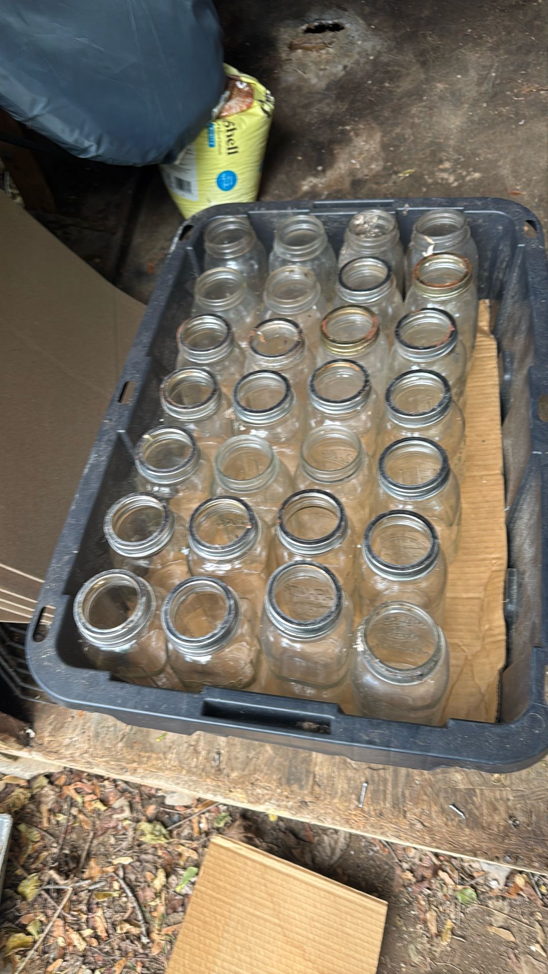 56 Quart Mason Jars
