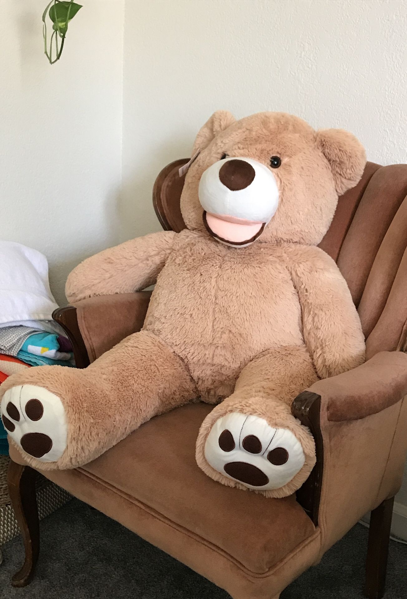 Big ass teddy bear, brand new