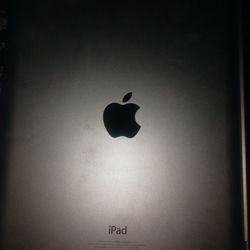 Apple iPad