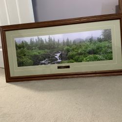 Nature Print