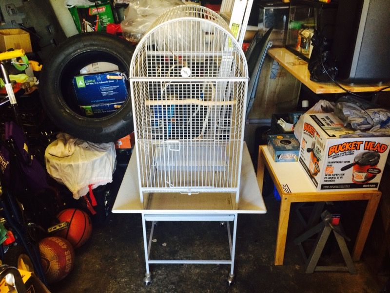 Bird Cage