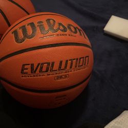evolution basketball