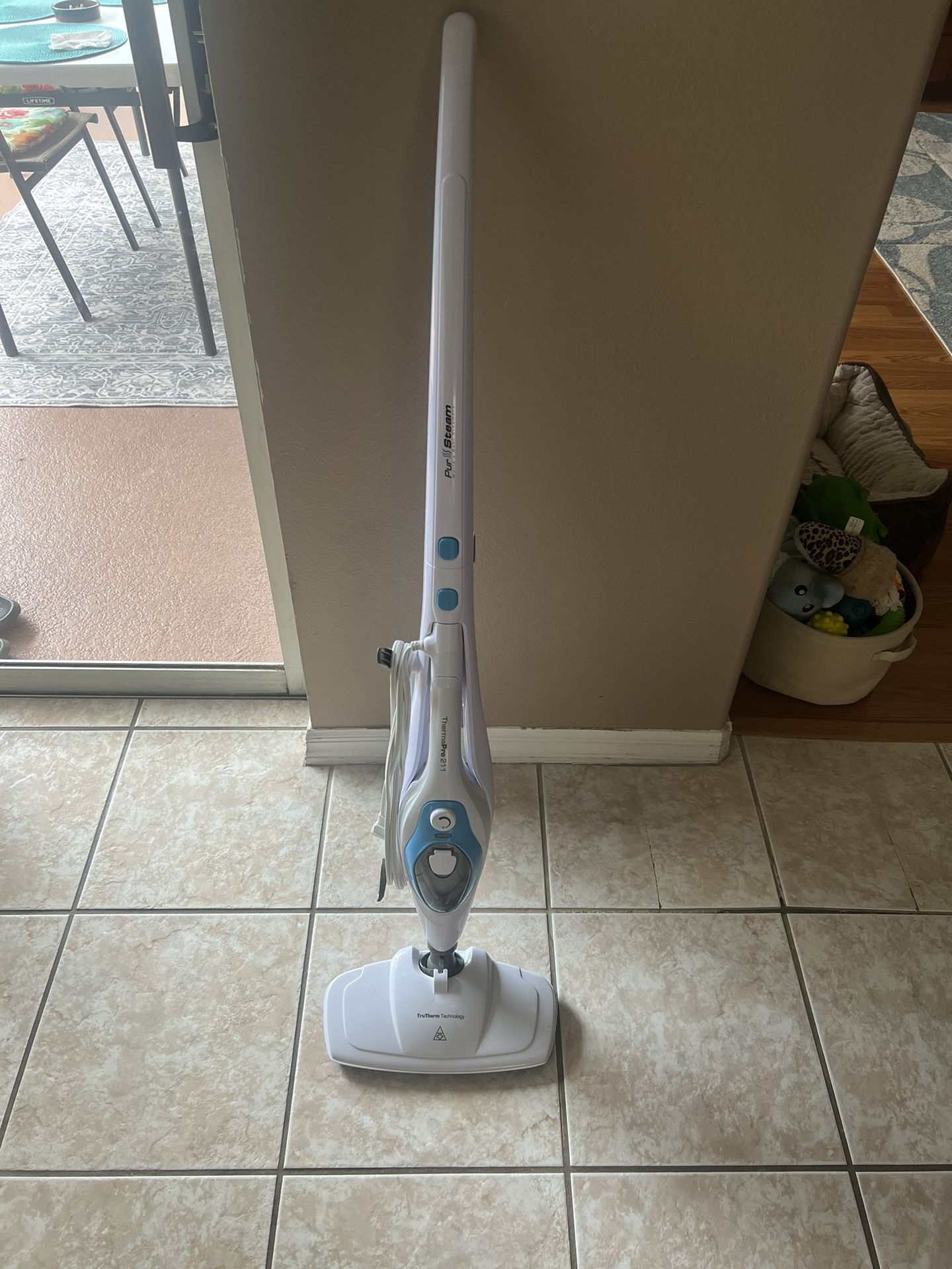 Pur Steam Steamer