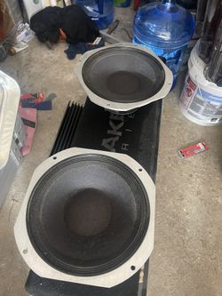 Dual audio vs  2 Peavey Scorpion SP-12825 12" Speaker 