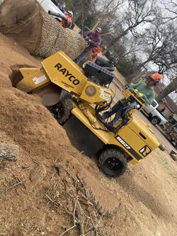 Stump Grinding Removal 