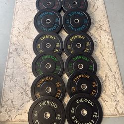 Rubber Bumper Plates (370LB)