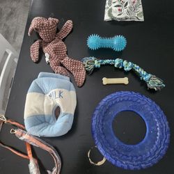 Dog Toys And Leash And Food Bowl Stainless