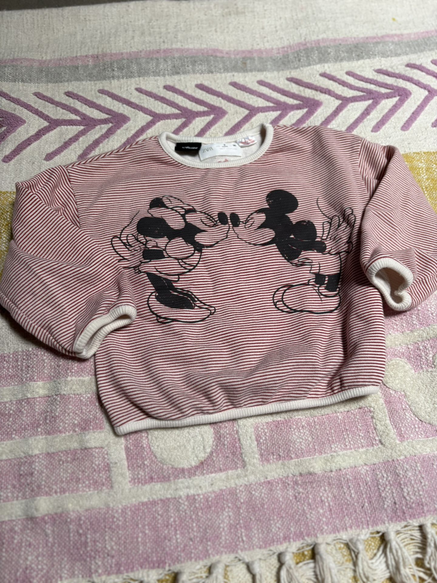 Zara Disney Sweater