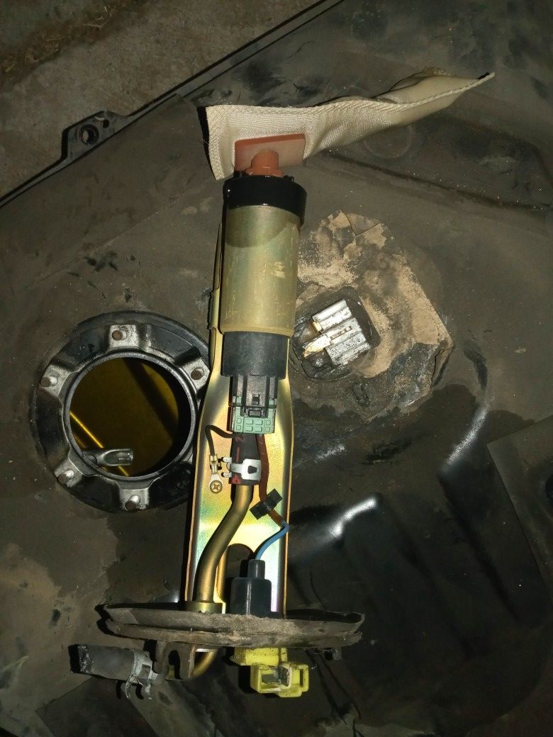 Vr Commodore Fuel Pump edu.svet.gob.gt