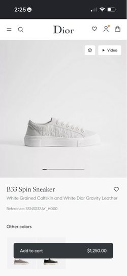 Used Dior white B33 sneakers 10.5 /43uk M